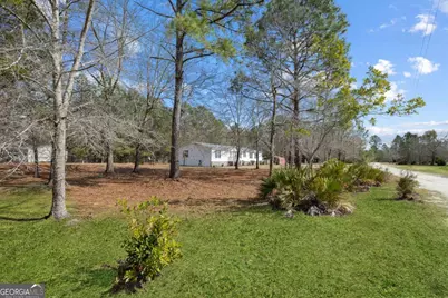 60 Tin Cup Lane NE, Ludowici, GA 31316 - Photo 4
