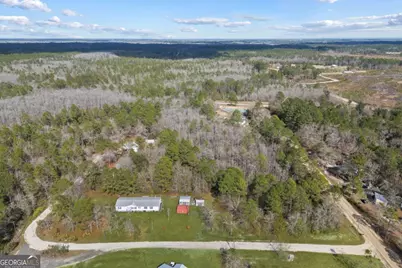 60 Tin Cup Lane NE, Ludowici, GA 31316 - Photo 28