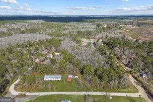 60 Tin Cup Ln NE, Ludowici, GA 31316 - Photo 28