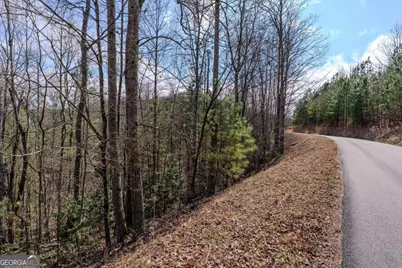 19/20 Summer Cove Road, Blairsville, GA 30512 - Photo 6