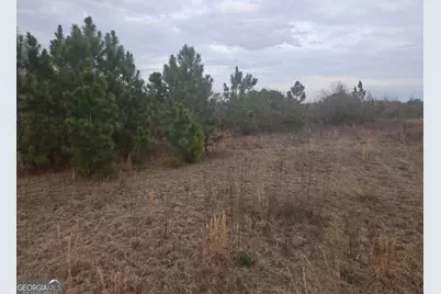 0 Snow Ridge Road #NA, Ashburn, GA 31714 - Photo 6