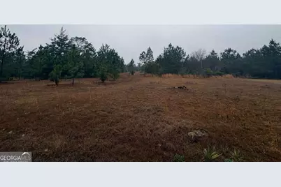 0 Hilltop Road, Baxley, GA 31513 - Photo 4