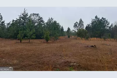 0 Hilltop Road, Baxley, GA 31513 - Photo 2