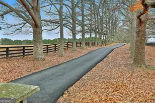 5116 Lower Fayetteville Rd, Sharpsburg, GA 30277 - Photo 6