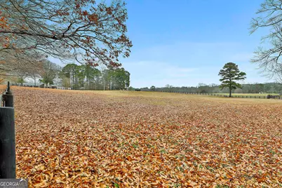 5116 Lower Fayetteville Rd, Sharpsburg, GA 30277 - Photo 4