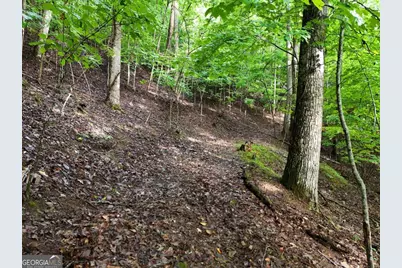 Lot 71 Chicory Drive W, Blairsville, GA 30512 - Photo 12