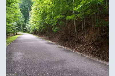 Lot 71 Chicory Drive W, Blairsville, GA 30512 - Photo 4