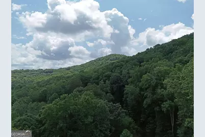 Lot 71 Chicory Drive W, Blairsville, GA 30512 - Photo 22