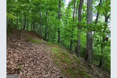 Lot 71 Chicory Drive W, Blairsville, GA 30512 - Photo 16