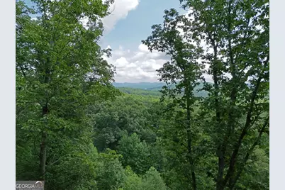 Lot 71 Chicory Drive W, Blairsville, GA 30512 - Photo 2