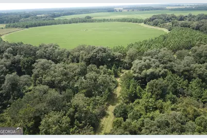 0 Highway 65, Camilla, GA 31730 - Photo 10