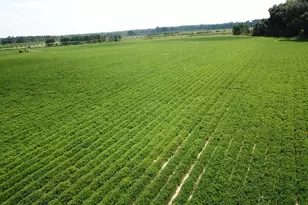 0 Hwy 65, Camilla, GA 31730 - Photo 1