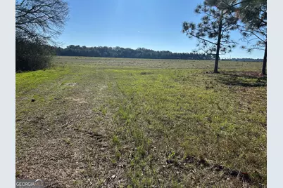 0 Highway 65, Camilla, GA 31730 - Photo 16