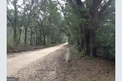 0 Highway 65, Camilla, GA 31730 - Photo 22