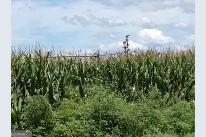 0 Highway 65, Camilla, GA 31730 - Photo 4