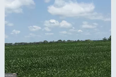 0 Highway 65, Camilla, GA 31730 - Photo 24