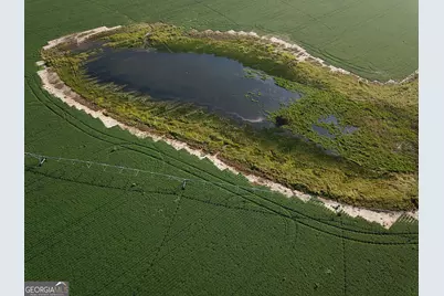 0 Highway 65, Camilla, GA 31730 - Photo 8