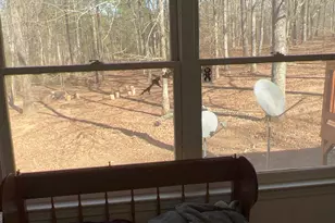 73 Friendship Church Rd, Buchanan, GA 30113 - Photo 28