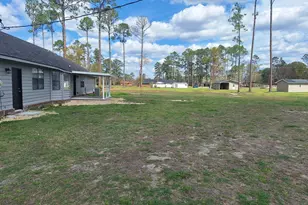 249 Satilla Church Rd, Baxley, GA 31513 - Photo 22