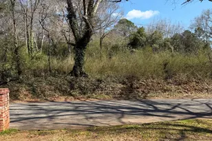 1484 Zorn St, Thomaston, GA 30286 - Photo 30