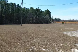 2283 Wilton Threatt Rd, Claxton, GA 30417 - Photo 20