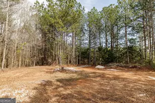 65 Lexington-Carlton Rd, Lexington, GA 30648 - Photo 38