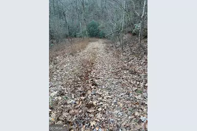 0 Colchester Lane, Mountain City, GA 30525 - Photo 10