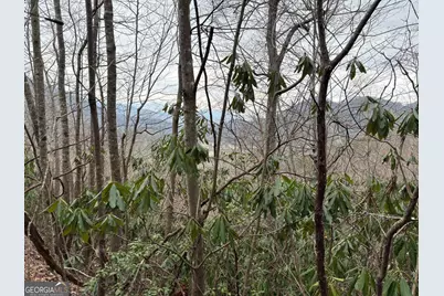 0 Colchester Lane, Mountain City, GA 30525 - Photo 1