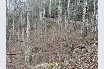 0 Colchester Lane, Mountain City, GA 30525 - Photo 6