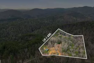 509 Sherwood Ln, Clayton, GA 30525 - Photo 30