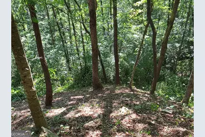 101 Cedar Road, East Ellijay, GA 30540 - Photo 4