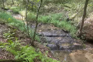 125 Winding Creek Road, Blue Ridge, GA 30513 - Photo 34