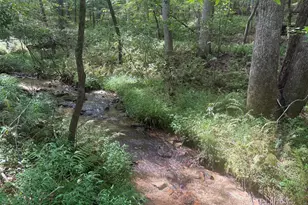 125 Winding Creek Road, Blue Ridge, GA 30513 - Photo 36