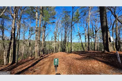 153 Rhondas Way, East Ellijay, GA 30540 - Photo 2