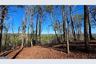 153 Rhondas Way, East Ellijay, GA 30540 - Photo 4