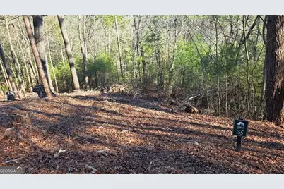 155 Rhondas Way, East Ellijay, GA 30540 - Photo 2