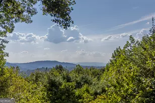 194 Squirrel Chase, Morganton, GA 30560 - Photo 56