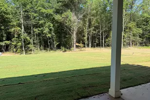 Lot 20 Flint Farms Dr, Concord, GA 30206 - Photo 2