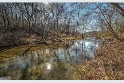 141 Mountain Rivers Rd, Mineral Bluff, GA 30559 - Photo 6