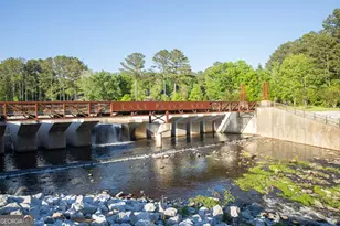 308 Dalston Way, Peachtree City, GA 30269 - Photo 48