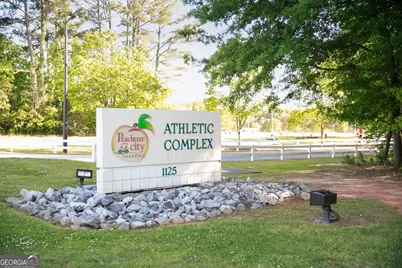 308 Dalston Way, Peachtree City, GA 30269 - Photo 54