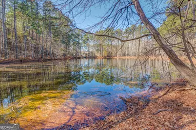 967 Snapping Shoals Road, McDonough, GA 30252 - Photo 48