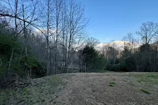 6159 Wolffork Rd, Rabun Gap, GA 30568 - Photo 2