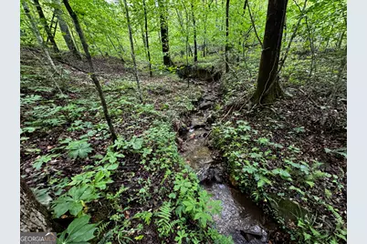 000 Fisher Creek Road, Talking Rock, GA 30175 - Photo 2