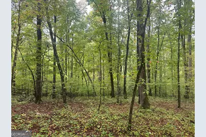 000 Fisher Creek Road, Talking Rock, GA 30175 - Photo 8