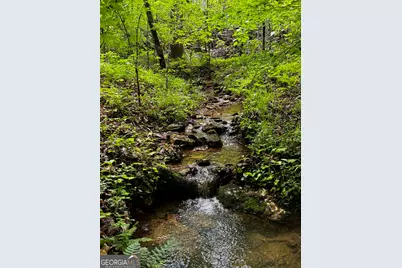 000 Fisher Creek Road, Talking Rock, GA 30175 - Photo 14
