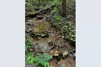 000 Fisher Creek Road, Talking Rock, GA 30175 - Photo 12