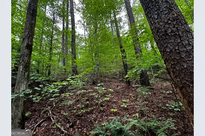 000 Fisher Creek Road, Talking Rock, GA 30175 - Photo 18