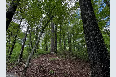 000 Fisher Creek Road, Talking Rock, GA 30175 - Photo 16