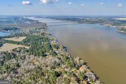 418 Flintside Drive, Cobb, GA 31735 - Photo 42